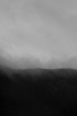 Foggy Mountain 3
