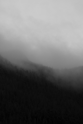 Foggy Mountain 4