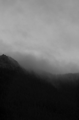 Foggy Mountain 5
