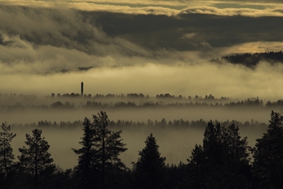 The rising morning mist.