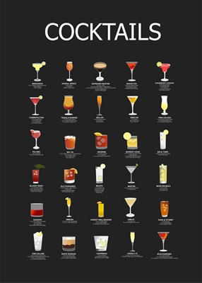 cocktails guide