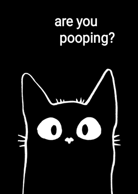 Cat are you pooping?