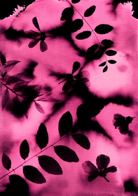 Sueño de hojas negras y rosadas