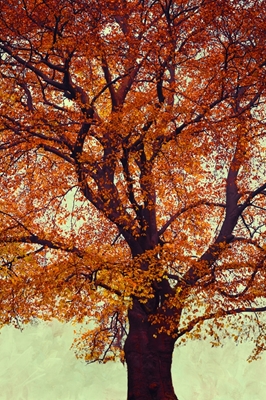 Strom v podzimním listí