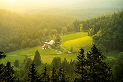 Farm in the Black Forest