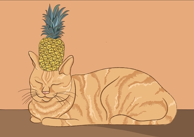 Katt med ananas