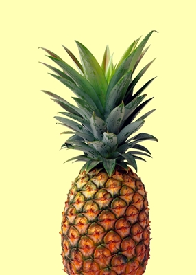 pineapple in yellow pop art