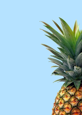 pineapple in blue pop art