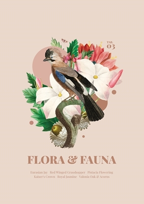 Flora & fauna met gaai