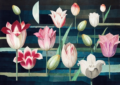Tulipany zasypiają