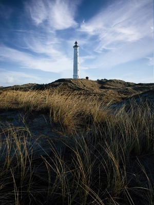 The lighthouse 