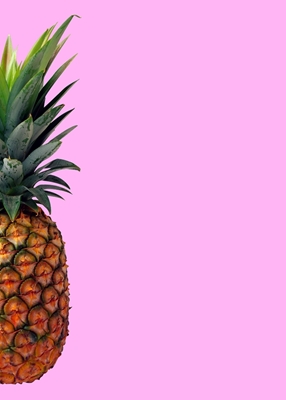 pineapple in pink pop art