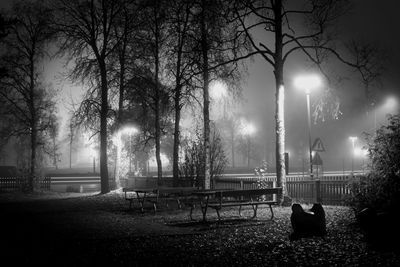 Mist in the Park