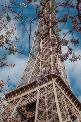 Kevät Eiffel-tornissa