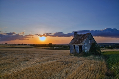 Pôr-do-sol no campo