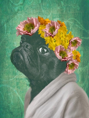 Mops Hund mops s květinami