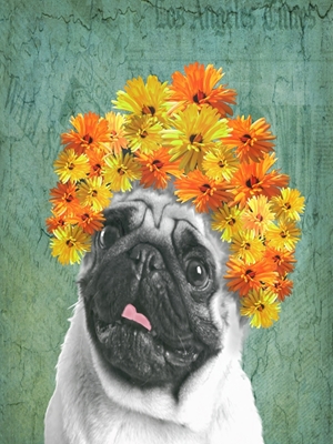 Funny Dog with Flowers
