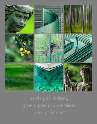 Fotografier i farger - grønn