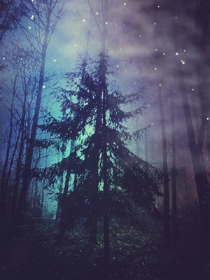 Luminous Forest