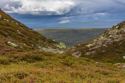 Utsikt från Nipfjället