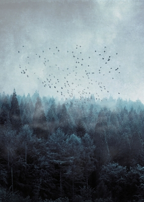 Mlžný les a hejno ptáků