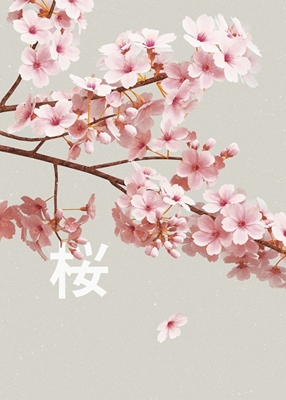Sakura japoński