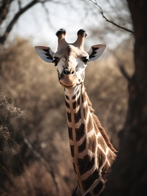 Skeptische Giraffe