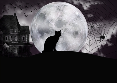 halloween kot - sylwetka wektorowa