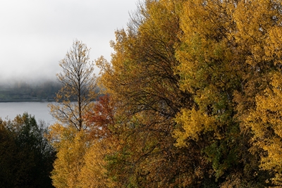 Autumn colors on Frösön 