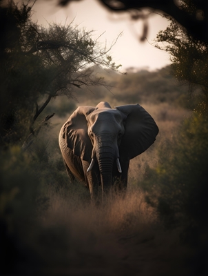 Elefant in der Natur