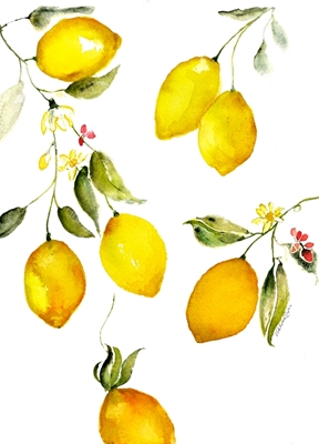 Sweet Sour Lovin Lemon