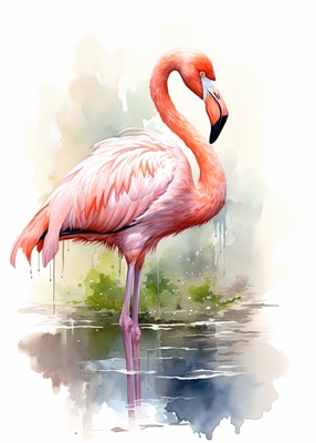 Flamingo akvarell