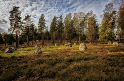 Stone circle of Blomsholm