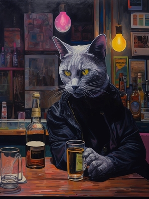 kočka v baru 