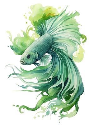 Green Betta Fish