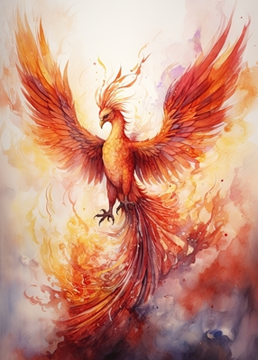 Akvarel Phoenix