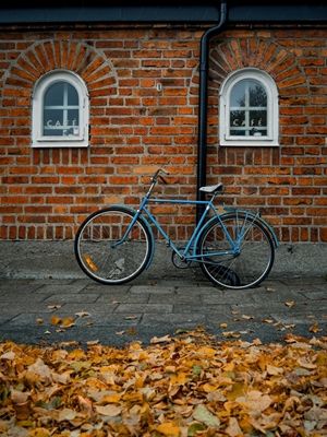Den blå cykeln