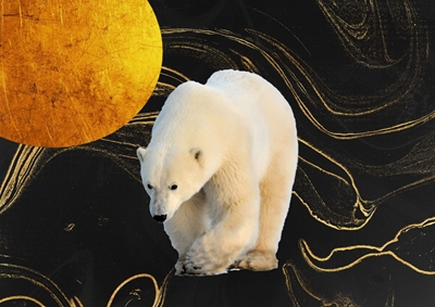 Orso polare in viaggio