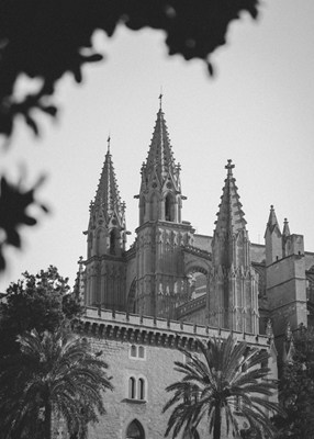 Katedra na Majorce
