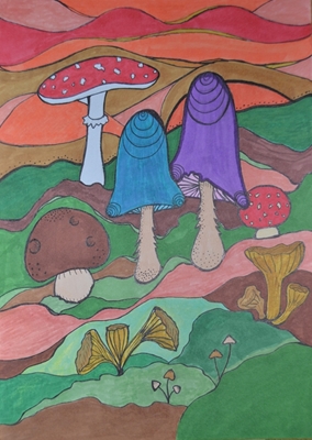 Mushrooms in Sweden