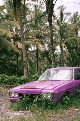 Verdwaalde auto in tropen Bali