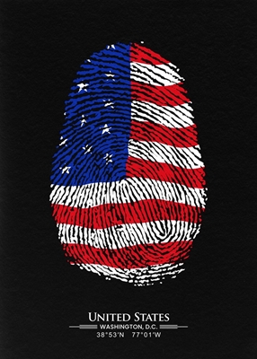 Amerikanische Fingerabdruck-Flagge