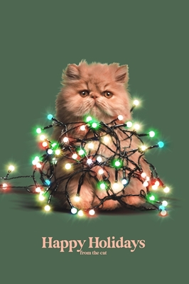 Happy Holidays From The Cat