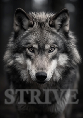Vlk - "STRIVE"