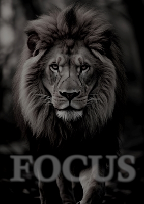 Lion - « FOCUS »