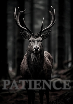 DEER - ""PATIENCE"