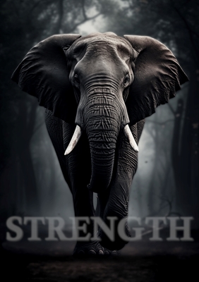 Elefant - "STYRKE"