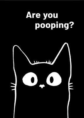 Cat Are You Pooping?