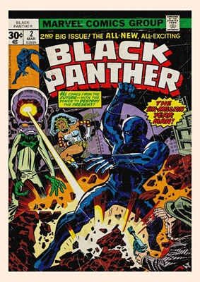 Black Panther Comic Book