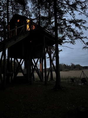 Tree-top cabin
